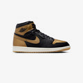 Air Jordan 1 Retro High OG | DZ5485-071