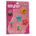 B4S-3 BEACH SUN CHARMS