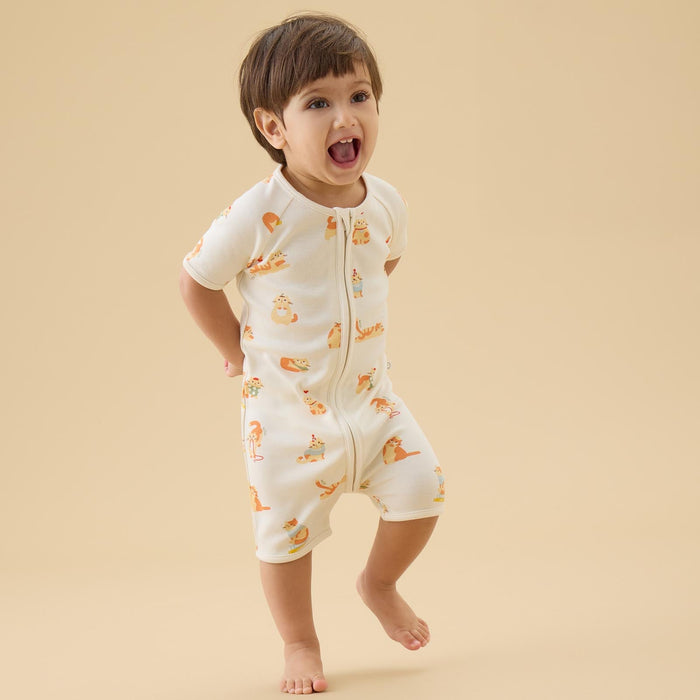 Cat Nap Summer Baby Pajamas