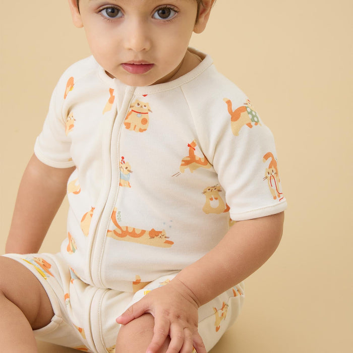 Cat Nap Summer Baby Pajamas