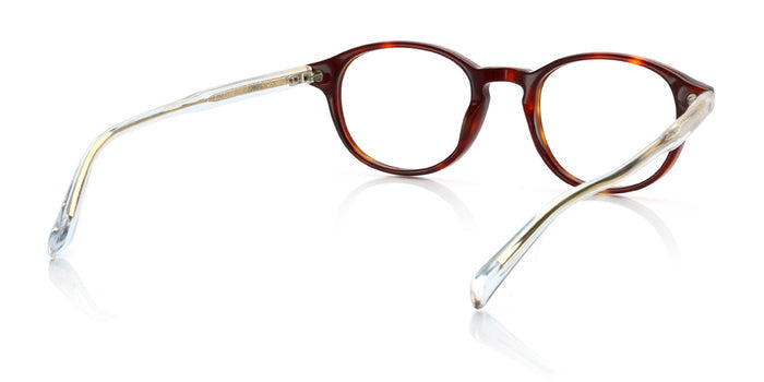 Back Angle Right