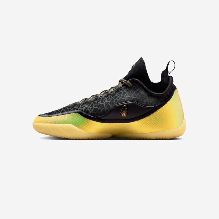 Lebron XXIII Elite "Hurt Feelings"