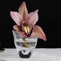 Naoya Arakawa Asahi Cordial Glass