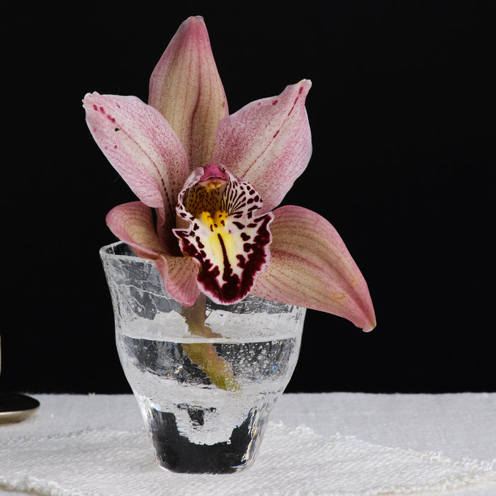 Naoya Arakawa Asahi Cordial Glass