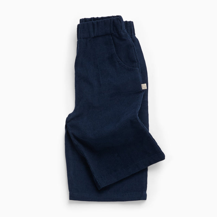Navy Corduroy Pants