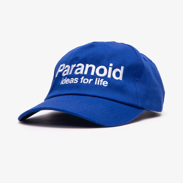 Paranoid Hat