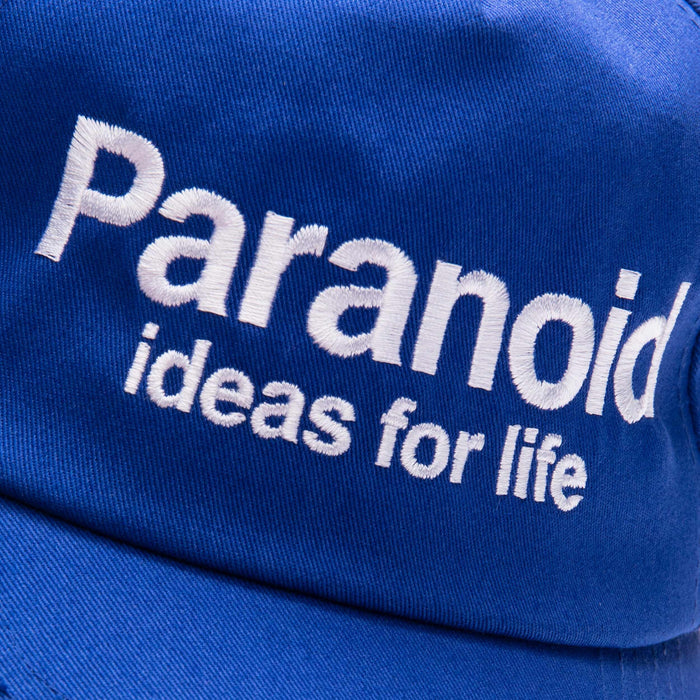 Paranoid Hat