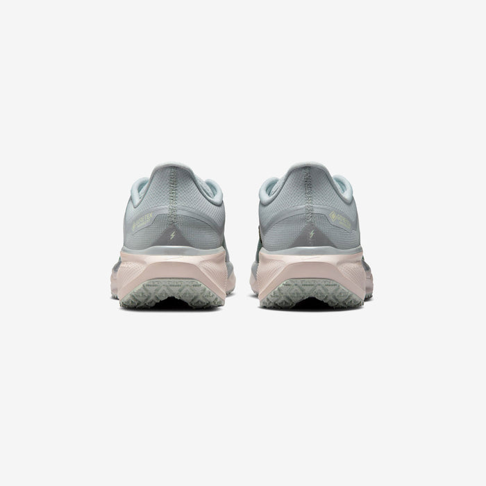 Pegasus 41 GORE-TEX