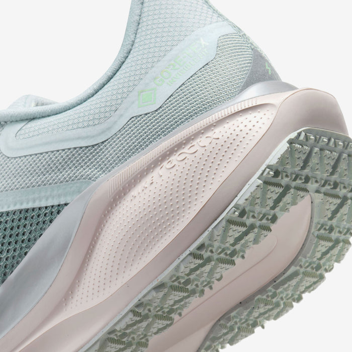 Pegasus 41 GORE-TEX