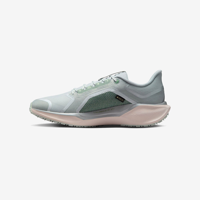 Pegasus 41 GORE-TEX