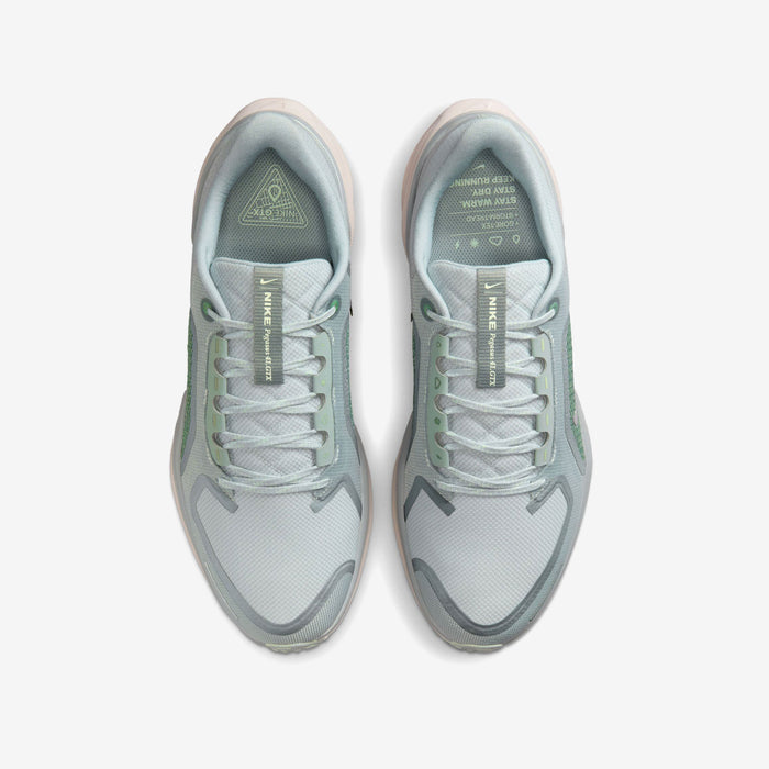 Pegasus 41 GORE-TEX