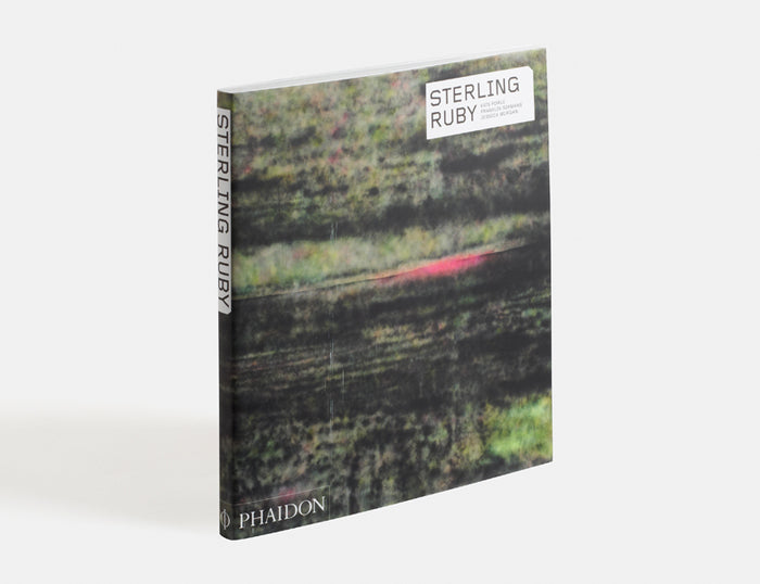Phaidon Sterling Ruby