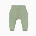 Ribbed Comfy Jogger - Sage
