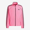 Teamgeist Adicolor Track Top