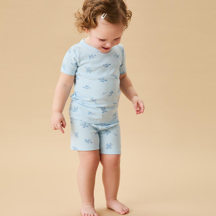 Turtles Ribbed & Ribbed Summer Pajamas Set 2 Pack